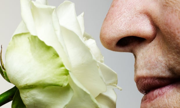 ‘Smell training’ recommended for Covid anosmia