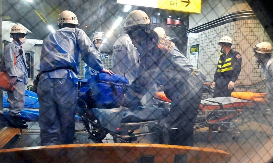 At least 10 passengers injured in stabbings on Tokyo train