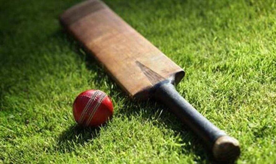 On cricket selection scam radar: sports firm, officials, ex-IPL player