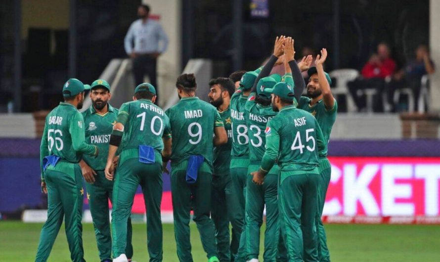 Hafeez, Malik to skip home T20 series against West Indies