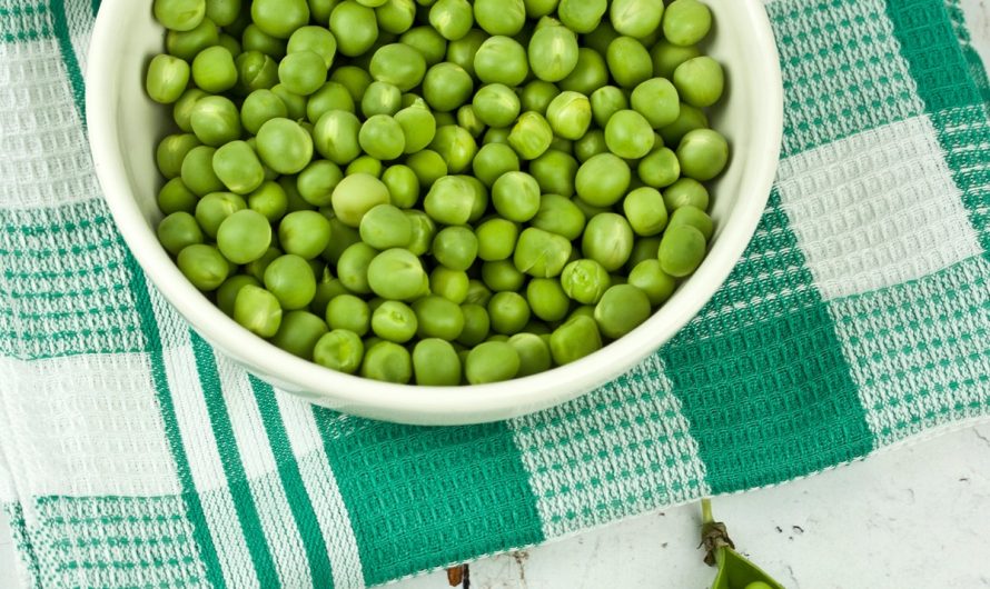 Embracing Veganism? These sources of vegan protein are a MUST for your diet