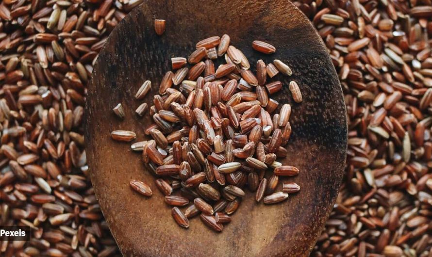 Nutrition check: Is brown rice actually healthier than white rice?
