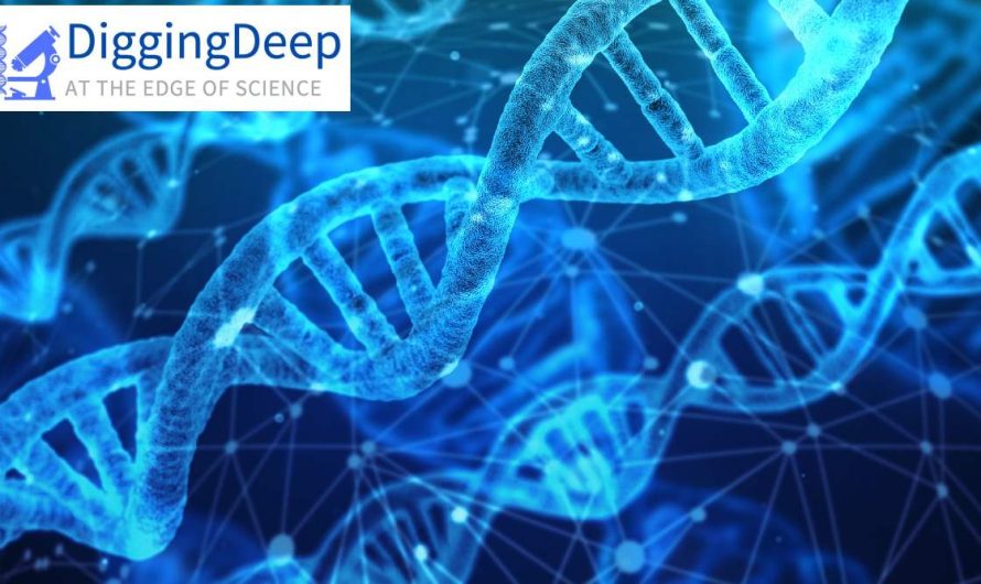 Digging Deep: Is genetic recombination linked to expression of harmful traits?